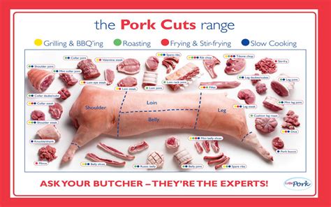 Pork Cut Diagram Printable Pork Cuts Chart