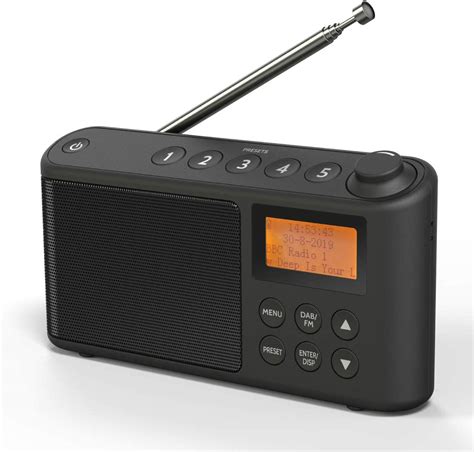 Portable DAB/FM