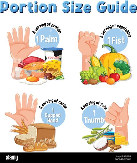 Portion Control and Meal Times