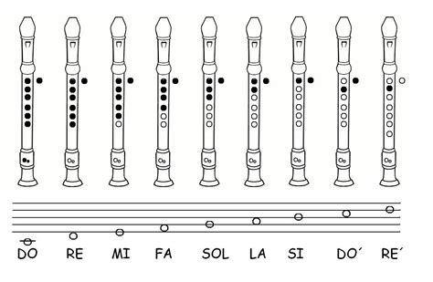 Posiciones De La Flauta