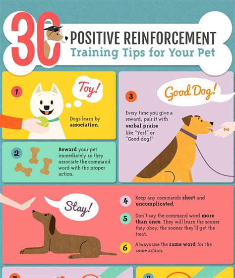 Positive Reinforcement Dog Training Techniques & Treats PetPlate
