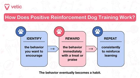 Positive Reinforcement Training