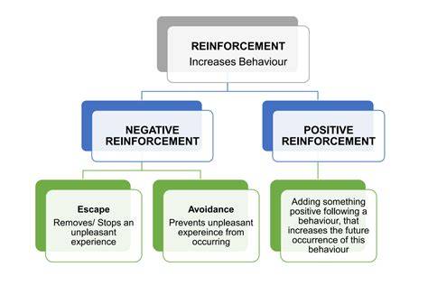 Positive Reinforcement vs. Traditional Methods