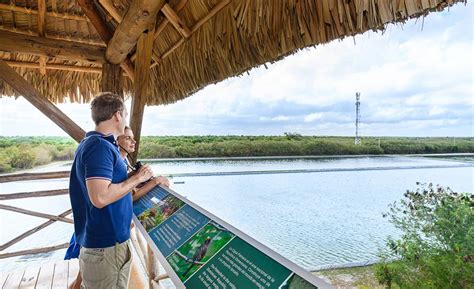 Possible Difficulties Ecological Tours