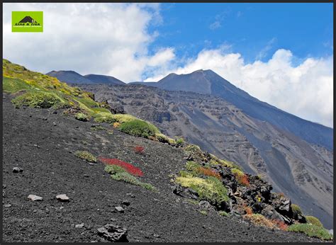 Post Etna Trek