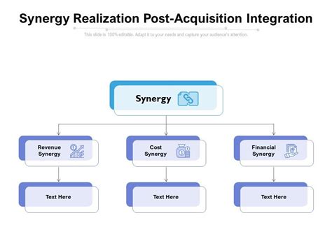 Post-Acquisition Leadership and Synergy