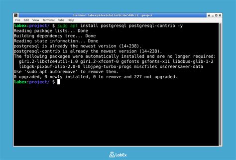 Post-Download: Installation and Initial Setup Tips