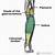 Posterior Lower Leg Muscle Anatomy