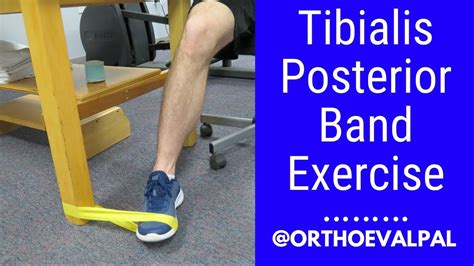 Posterior Tibialis Tendon Exercises MCR FEET