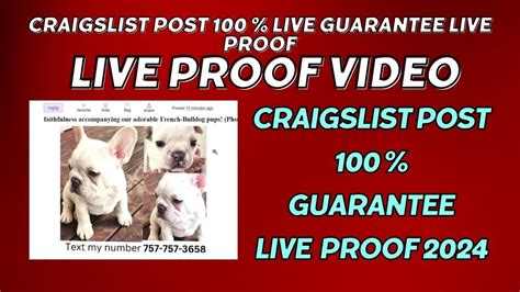 Can You Post Free Pets on Craigslist - Posting pets on Craigslist