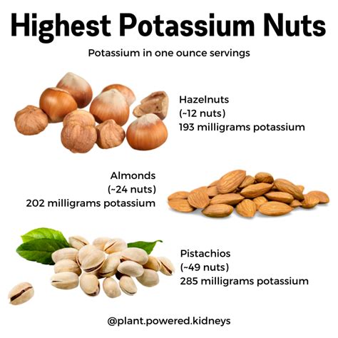 Potassium In Nuts Chart