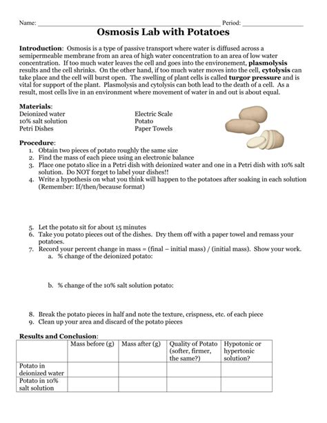 Potato Osmosis Lab Worksheet Answers
