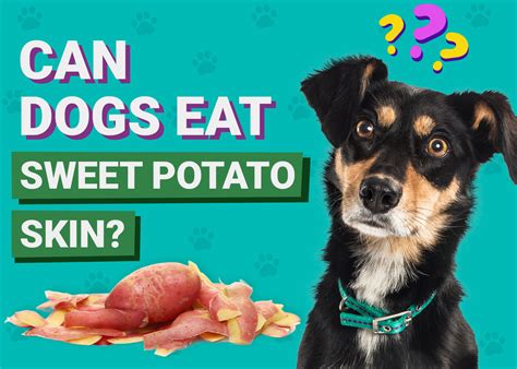 Indulge Your Pup's Inner Foodie with Irresistible Potato Skins!