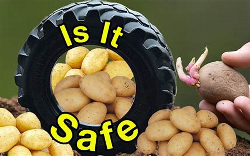 Potatoes In A Tire