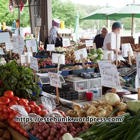 Potensi Pasar yang Besar