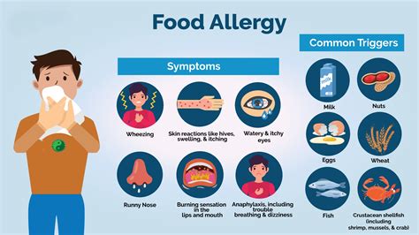 Potential Allergies and Concerns