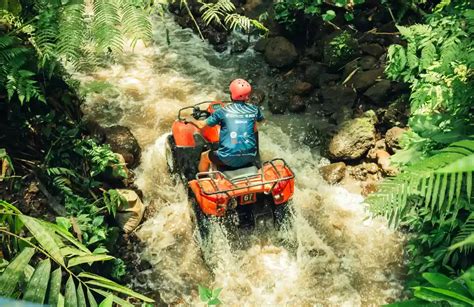 Potential Downsides of ATV Tour