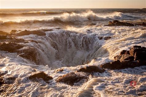 Potential Drawbacks of Aveiro Tour