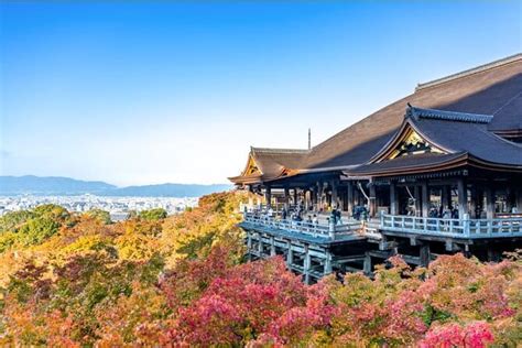 Potential Highlights and Hidden Gems