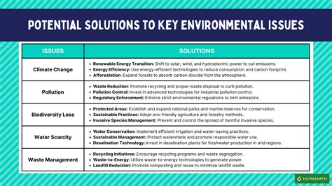 Potential Issues and Solutions
