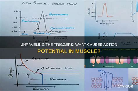Potential Triggers and Causes