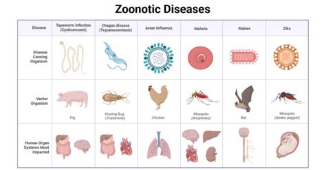 Potential Zoonotic Diseases