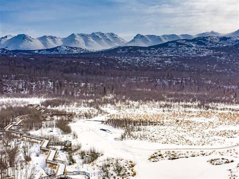 Potter Marsh in winter