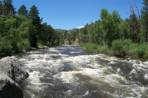 Poudre River Fishing Report