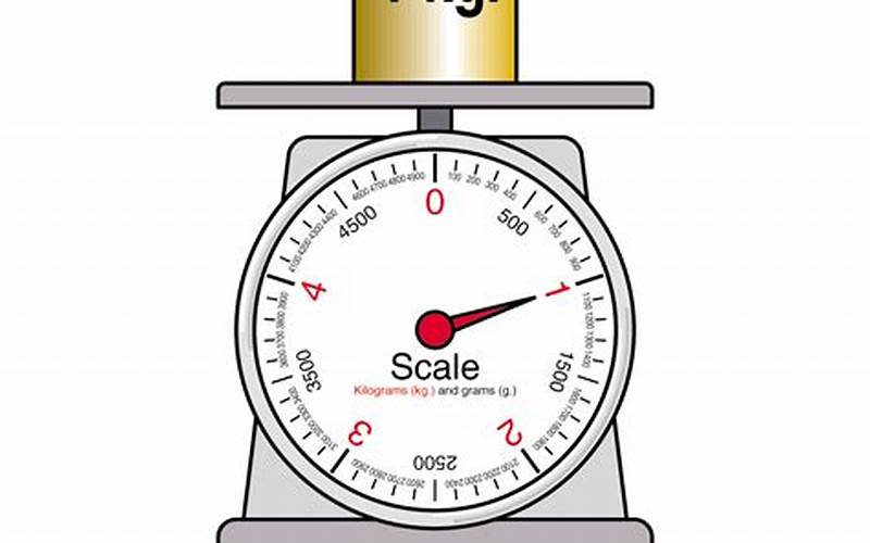 Pounds And Kilograms Scale