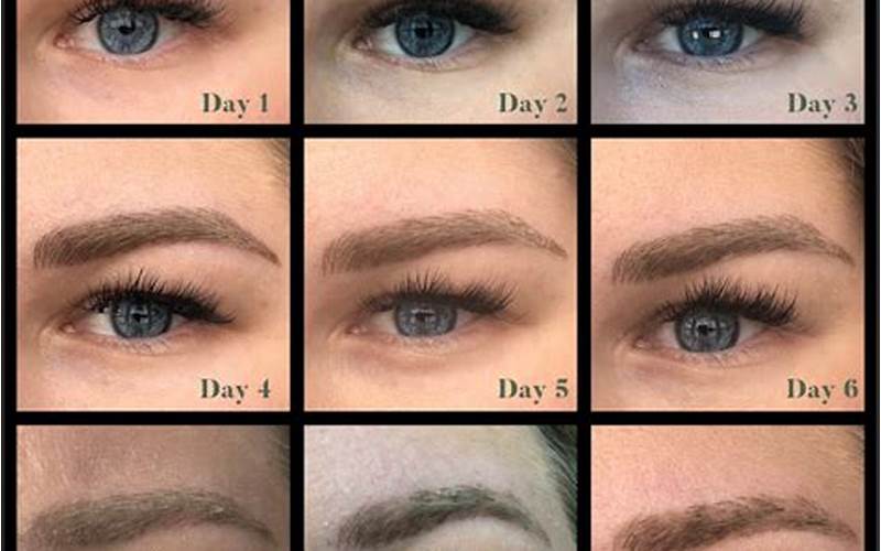 Powder Brows Day 4-7