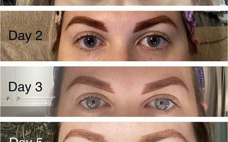Powder Brows Day 8-14