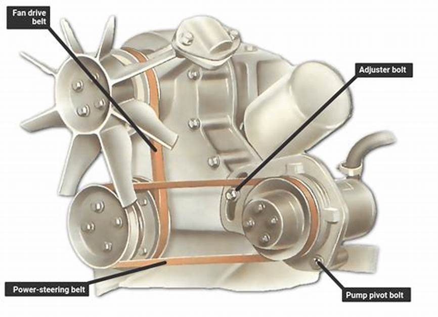 Power Steering Pump and Belt