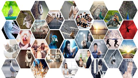 Powerpoint Template Photo Collage
