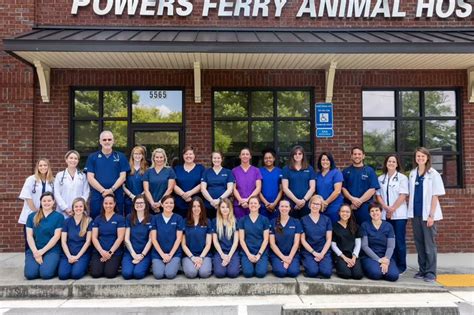 Powers Ferry Animal Hospital: Exceptional Veterinary Care for Your Beloved Pets