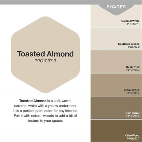 Ppg Paint Toasted Almond