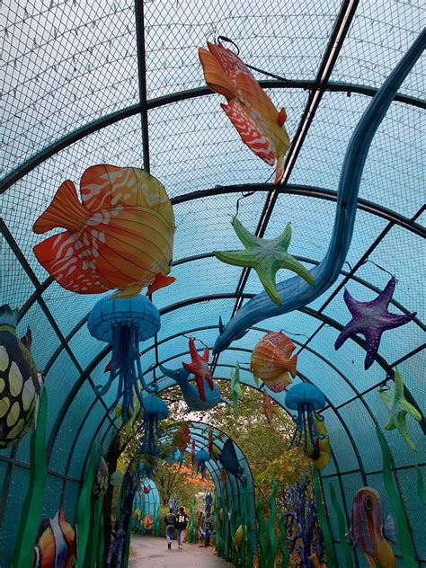 Ppg Paints Zoo