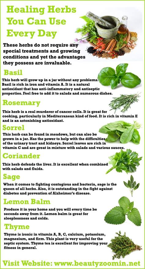 Practical Application: How to Use These Herbs Effectively