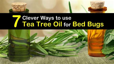 Practical Application: Using Tea Tree Oil Against Bed Bugs