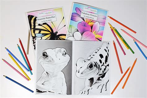 Practical Applications: Where to Use Your Custom Coloring Books
