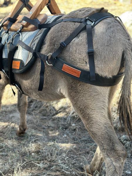 Practical Nylon and Biothane Options