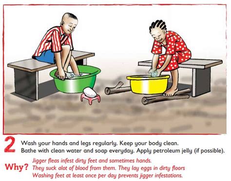 Practical Tips for Jigger Flea Prevention