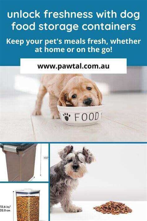 Practical Tips for Optimal Dog Food Storage