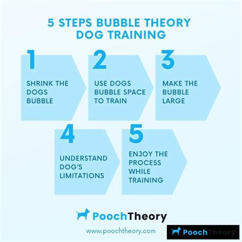 Practical Tips for Respecting the Dog Bubble Theory