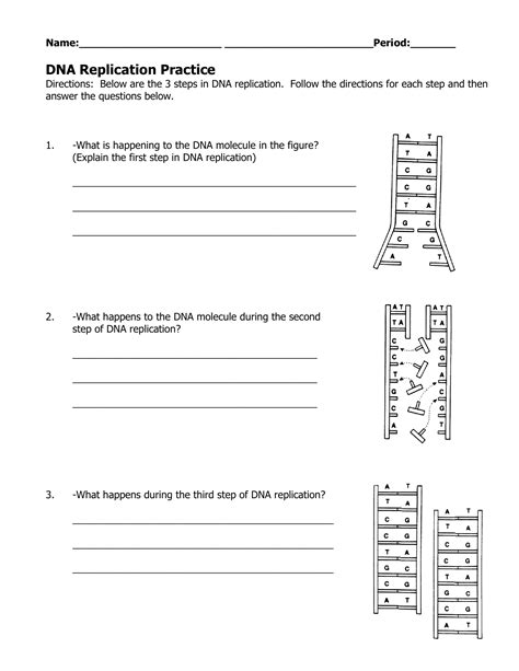 Practice Dna Structure And Replication Worksheet Answers