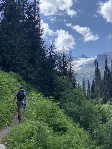 Practicing "Leave It" Outdoors