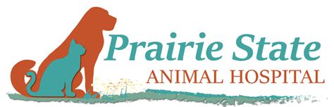 Prairie State Animal Hospital: Your Top Choice for Compassionate Pet Care
