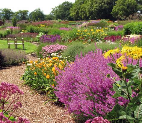 Prairie Tuin Nadelen