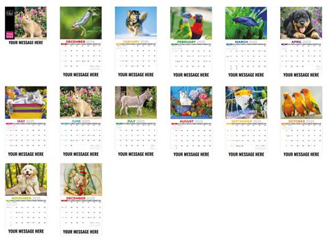 Praise My Pets 2024 Calendar