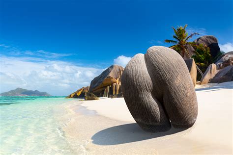 Praslin Island Tour