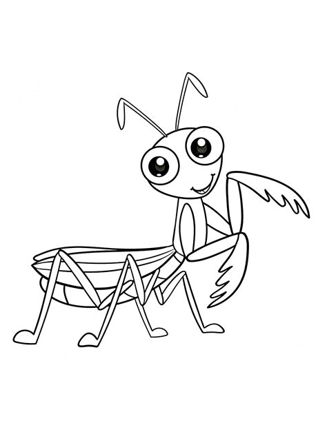 Praying Mantis Coloring Page